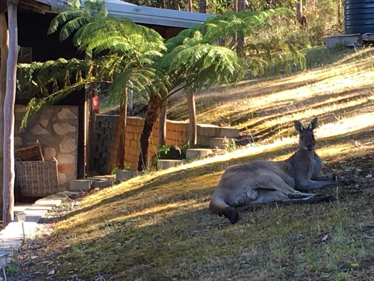 Kangaroo Valley Cottage Denmark Kültér fotó